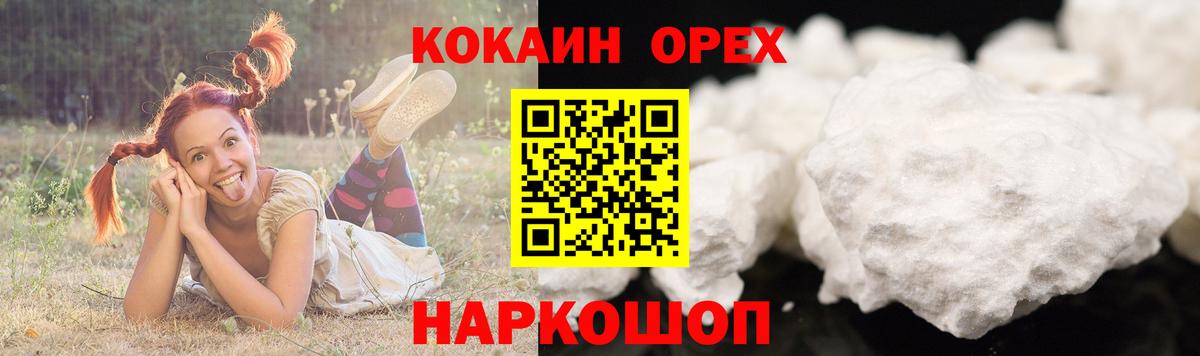 Cocaine Fish Scale  COCAIN Fish Scale  Благодарный  Вход с VPN 