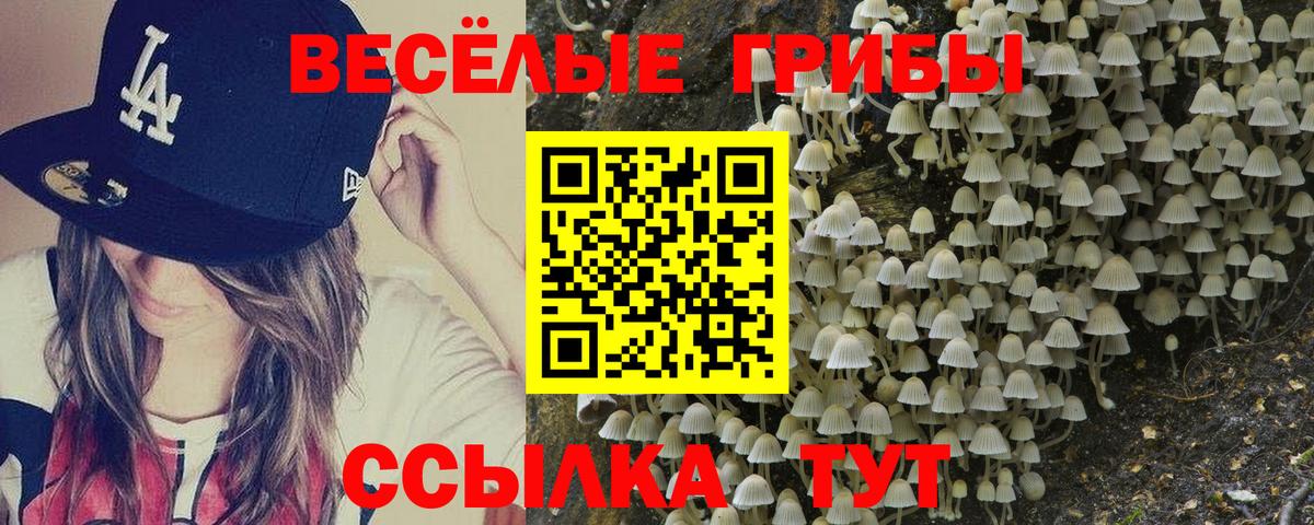 Псилоцибиновые грибы GOLDEN TEACHER Благодарный