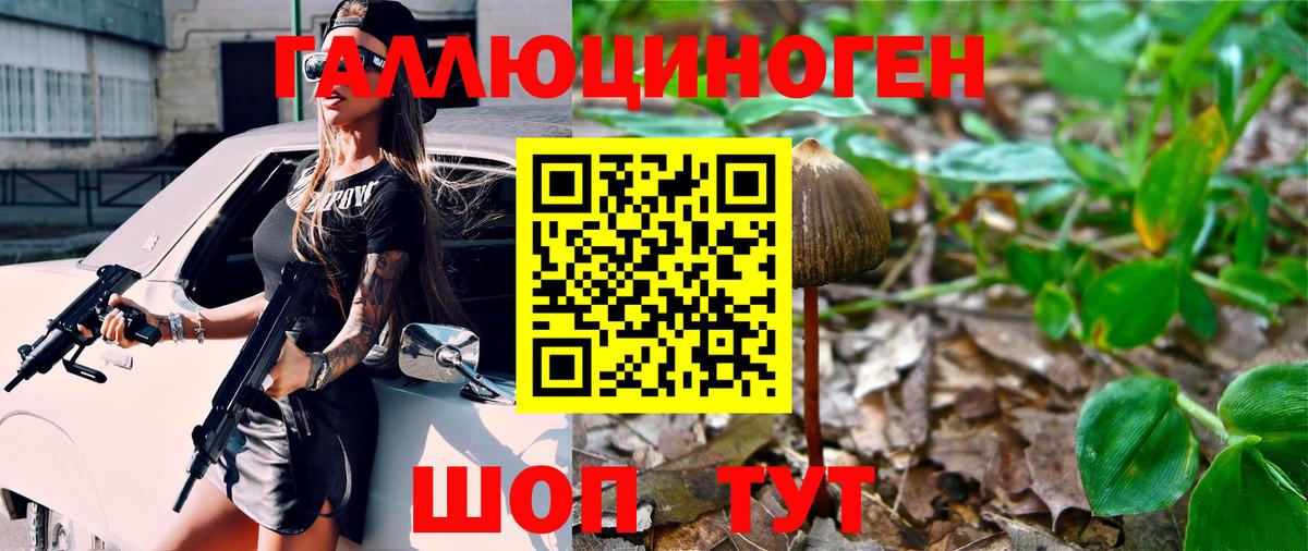 Благодарный  Псилоцибиновые грибы GOLDEN TEACHER  Псилоцибиновые грибы мухоморы  Вход с VPN 